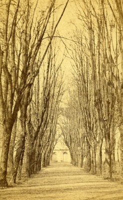 Promenades 72000 Le Mans Frankreich altes CDV Ferre Foto 1870