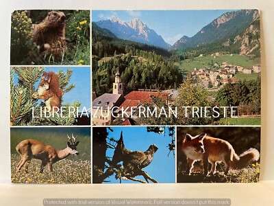 VOLTRI OVENS Fauna dell Oasi POSTCARD 