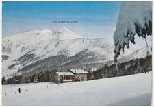 PANAROTTA 2000 - TRENTO - VIAGG. -70860-