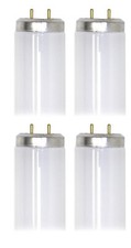 case of 4 GE Lighting 22662 40-watt 3725-Lumen T8 Light Bulb, 4100K Color