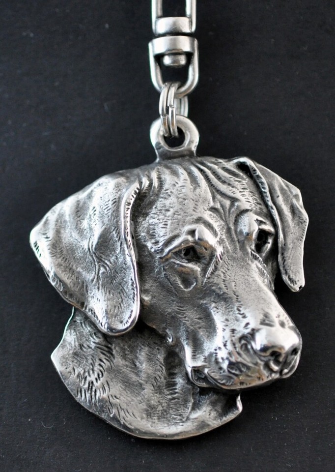 Rhodesian Ridgeback, African Lionhound, African Lion Dog - Silver ...