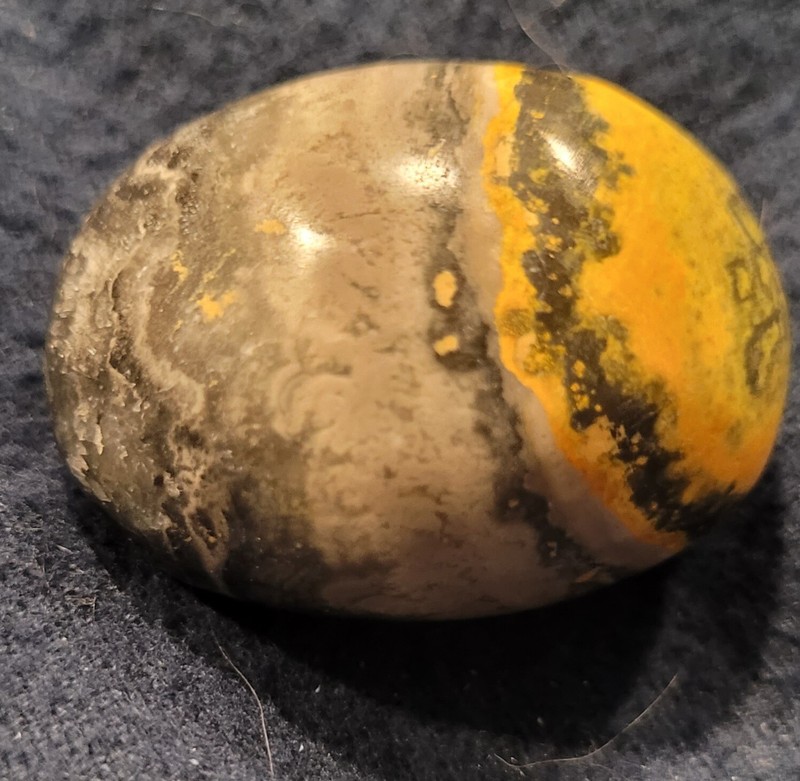 Bumble Bee Tumbled Stone Crystal Healing Stone