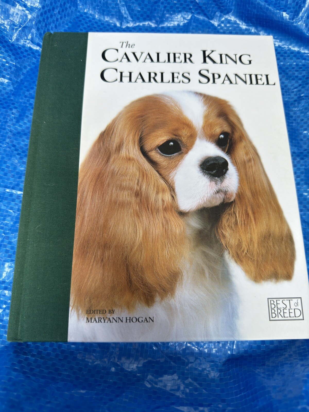 Cavalier King Charles Spaniel - Best of Breed by Maryann Hogan Hardback Book The