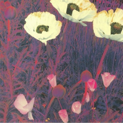 GREEN PAJAMAS, The - Sunlight Might Weigh Even More - LP LIMITED TO 200 COPIES