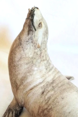 Sea lion, signed, Vintage handmade, walrus, with wire whiskers
