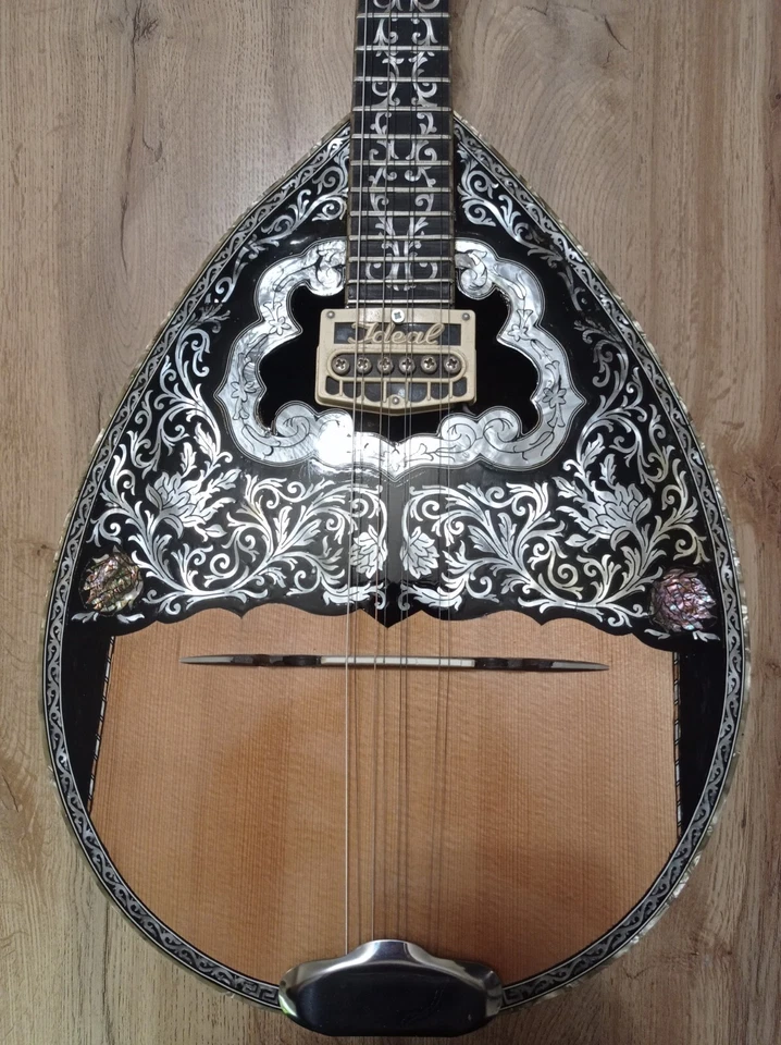 Grego Bouzouki OFERTA ESPECIAL-Hardcase & Pickup & 300 Backing Track & Pdf Pontuações - Imagem 3 de 4