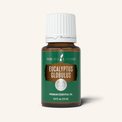 Young Living Eucalyptus Globulus essential Oils 15ML Authentic New Sealed