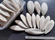 Auswahl Sepiaschalen / ca. 12 - 15 cm / 1A TO...