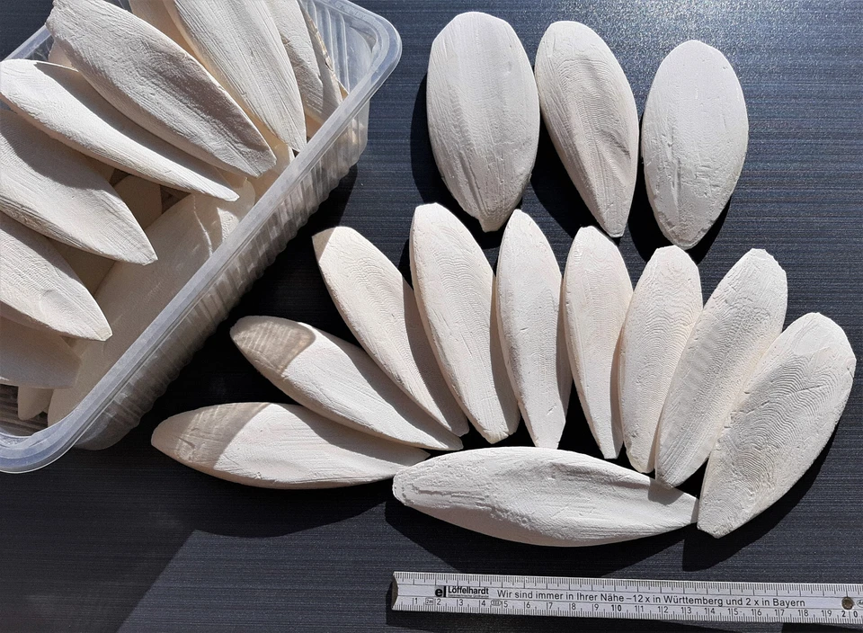 Auswahl Sepiaschalen / ca. 12 - 15 cm / 1A TOP Qualität - Vögel, Sepia, Kalzium