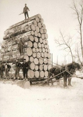 ''They're really stacking up!'' AVANTI BIRTHDAY CARD 1893 Pine Log Load HISTORIC
