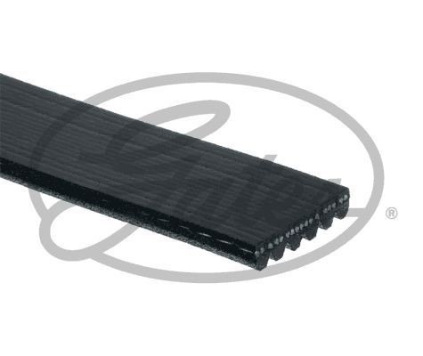 Gates Micro-V E-START V-Ribbed Belt - 6PK1061EST - Equivalent to OE Quality - Image 18