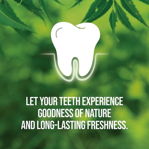 Neem Active Anti Bacterial Toothpaste, 200G(Buy 2 Get 1, 3 Pieces) Promo Pack - Picture 3 of 6