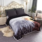 Animal Lion Printed Heavy Mink Blanket Weighted Bed Blankets Winter 85x93- 10lb