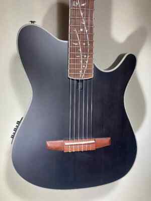 Ibanez Acoustic/Electric Classical Guitar (TOD10N Tim Henson