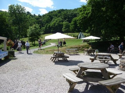 Photo A3 Canonteign Falls : Picnic Area Hennock An area to sit and eat a c2010