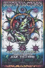 GRATEFUL DEAD CONCERT TOUR POSTER 11 x 17 (27) BUY2GET2