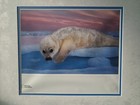 ART BY National Geographic Print Harp Seal Pup Photo by Brian Skerry NUMBERED 49 — photo 4