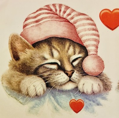 Sleeping Kitty in Pink Nightcap NEW T-shirt w/ Vintage Graphic-MADE to ORDER