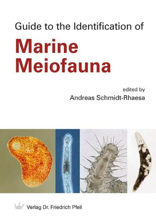 Guide To The Identification Of Marine Meiofauna | Andreas