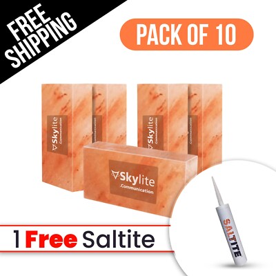 10 Salt Bricks Himalayan Natural 8x4x2 - Big Tiles Homes Spa & Sauna Wall Accent