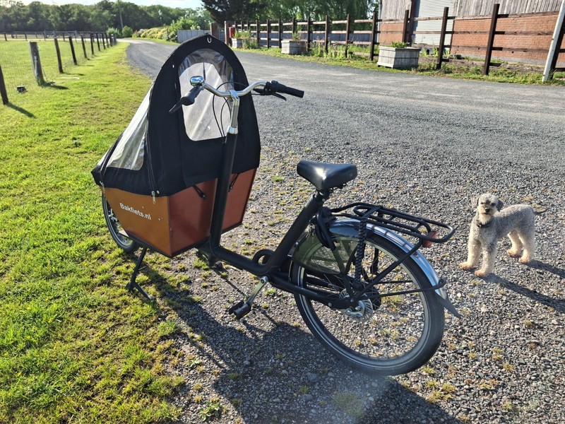 Bakfiets Short Cargo Bike, used but good condition