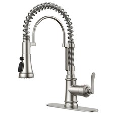 Kitchen Faucet with Pull Down Sprayer, Stainless Steel Single Handle Spring A...