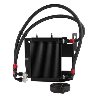 25 Row 10AN Oil Cooler Fit For 2006-2011 BMW 3 Series 135 335 335i E90 E92 N54 e
