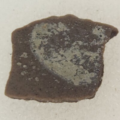 Unidentified Dinosaur Egg Shell Fossil (Orodromeus?) - Two Medicine Fm. - MT