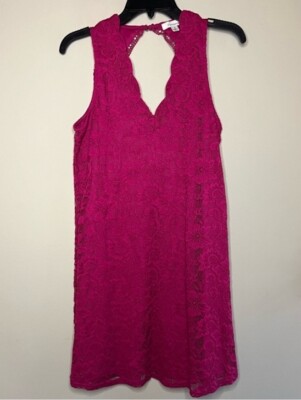 Francesca s Pink Lace Trapeze Dress Small