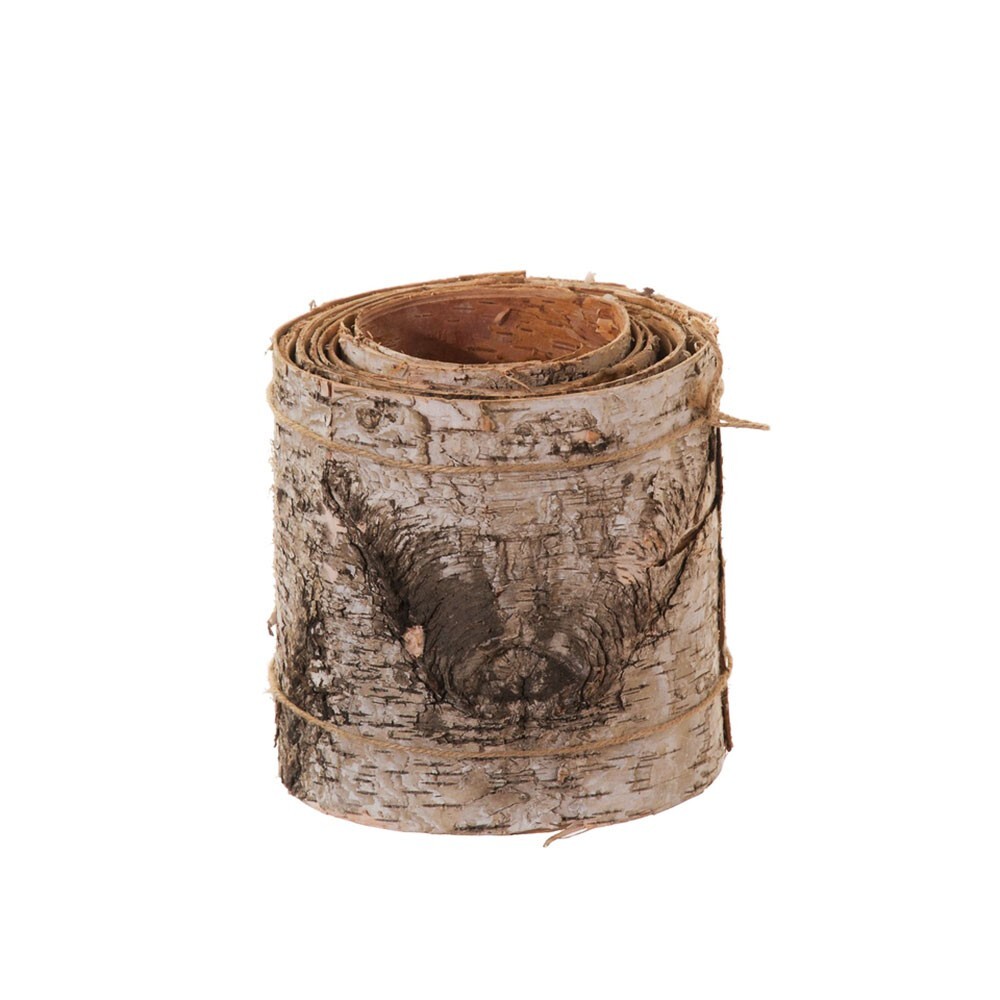 Birch Tree Bark Roll 300cm Long x 15cm Wide
