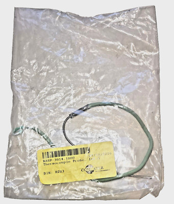 RASP-3014.1000 THERMOCOUPLE PROBE. INT.CABINET CPC101 Rational Comcater
