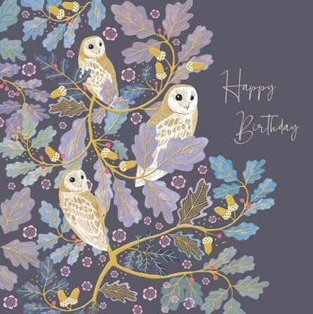 National Trust Elegant Owls Birthday Card – Harmony Art by Claire Hocking
