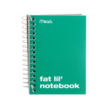 Mead Fat Lil' Notebook: 4 in. x 5-1/2 in. (Green)