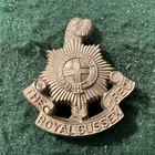 Royal Sussex Regiment    Plastic     Economy     WW2   Cap Badge.   Fb14
