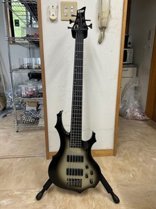 Esp Forest | eBay