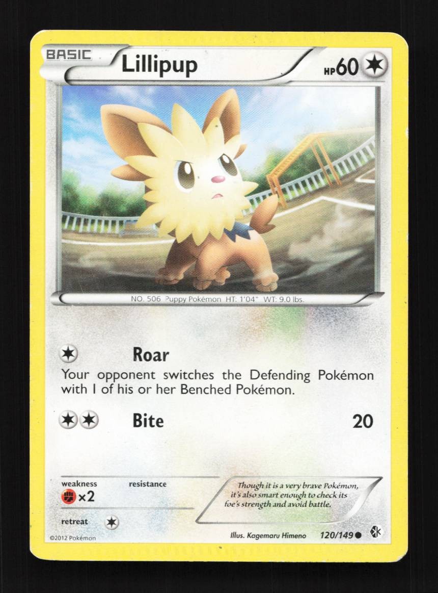 Lillipup 120/149 LP Boundaries Crossed English Pokemon Card TCG