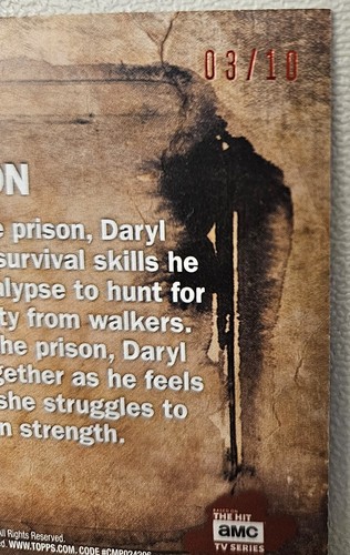 THE WALKING DEAD EVOLUTION/ DARYL DIXON, PLAYED BY NORMAN REEDUS 3 Of 10. Blk/W - Picture 3 of 3