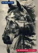 Diamond Art Kits for Adults Horse Diamond Painting Kit 12x16in