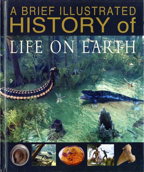 A Brief Illustrated History of Life on Earth