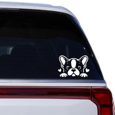 Cute Boston Terrier Sticker - Car Window Vinyl Decal Matte White - Peels Corner