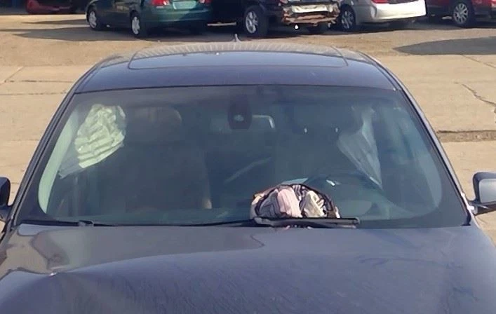 2010 BMW 550i GT Front Passenger Right RH Door Trim Panel in Brown & Black Foto 4 de 4