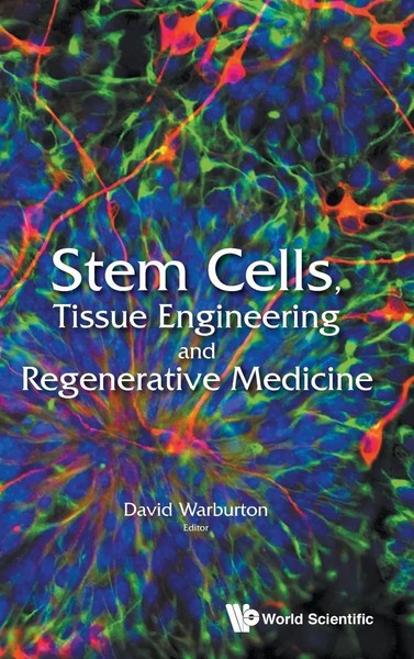 Warburton David | Stem Cells, Tissue Engineering AND Regenerative Medicine-image