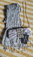 New silver bag, with a matching scarf