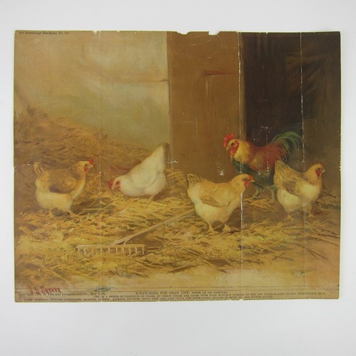 Antique Chromolithograph Print Hens Rooster Pecking JD Sorvey 1893
