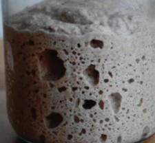 ORIGINAL WHARF SAN FRANCISCO SOURDOUGH STARTER yeast bread flour VERY ACTIVE