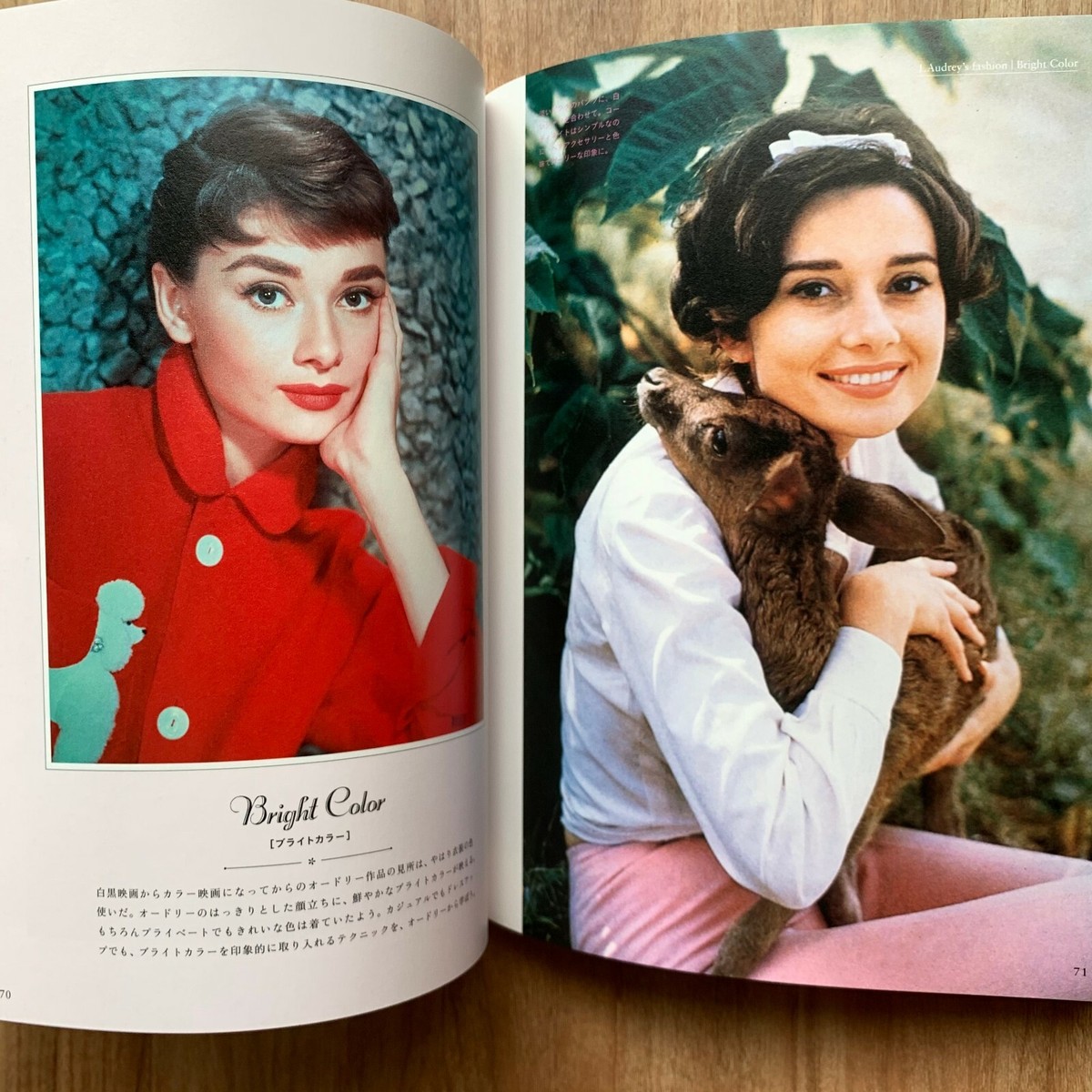 Audrey Hepburn Photo Book Hollywood Daily Fashion style with