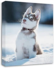 Customize canvas photos, personalize image printing