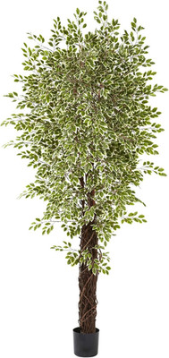 7.5Ft Variegated Mini Ficus Tree - Lifelike Indoor Plant for Home Decor