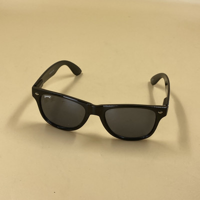 PUGS Patriotic 2018 Style Sunglasses
