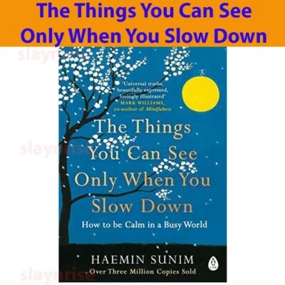 The Things You Can See Only When You Slow Down: How to be Calm in a Busy World